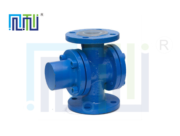 衬氟篮式过滤器